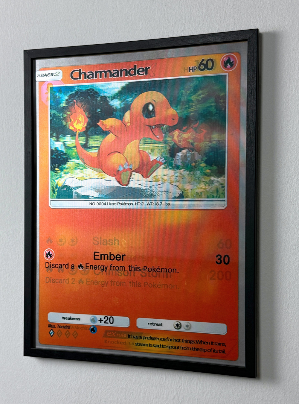 Pokémon (Charizard Edition)