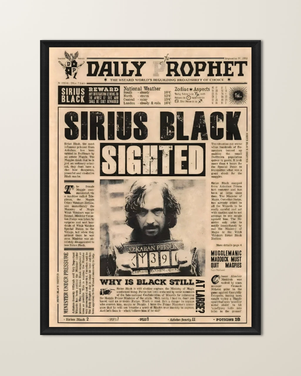 Harry Potter (Sirius Edition)