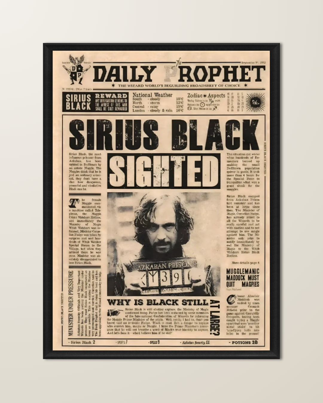 Harry Potter (Sirius Edition)