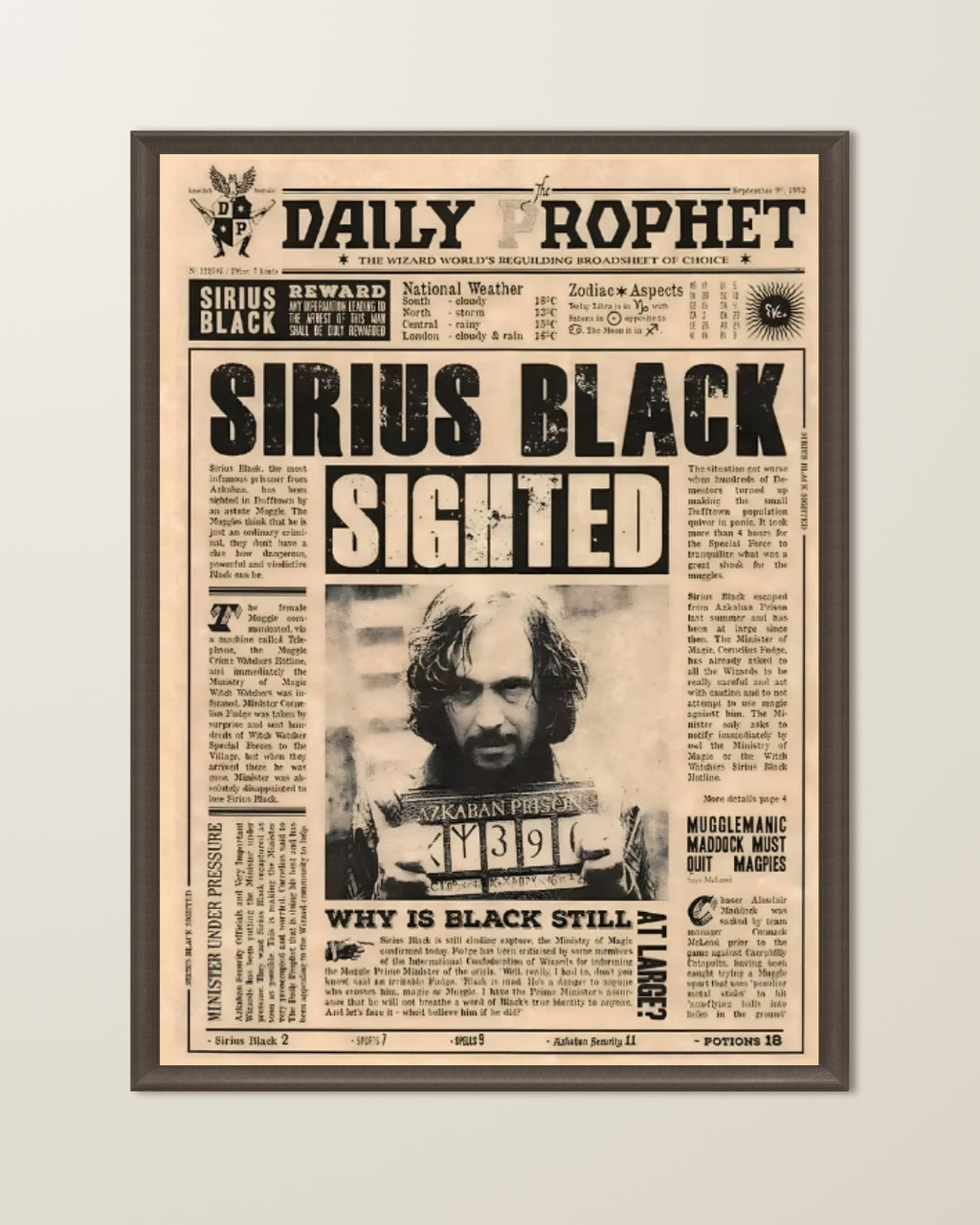 Harry Potter (Sirius Edition)