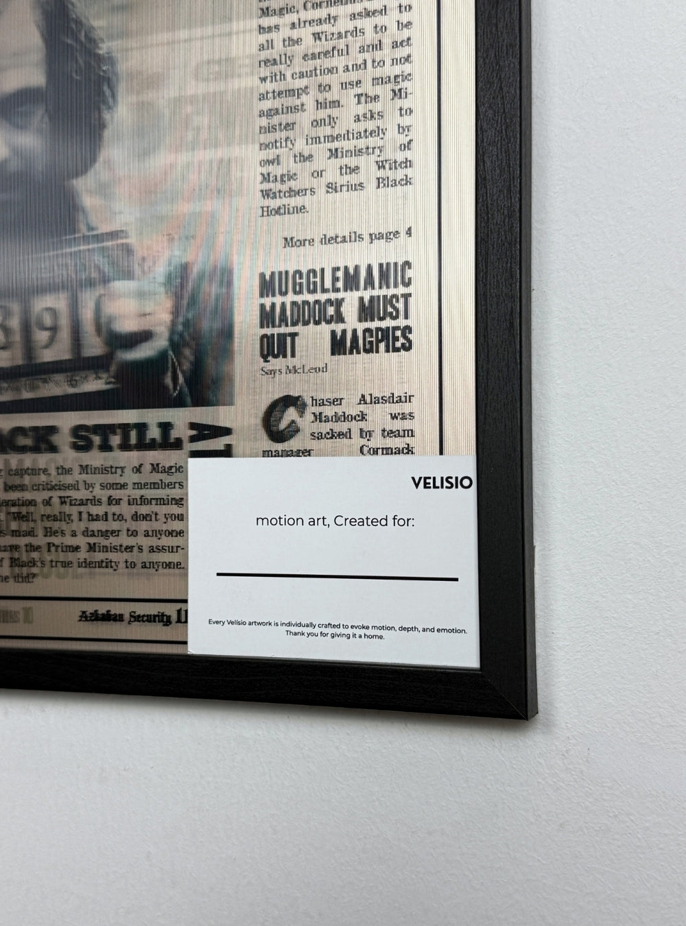 Harry Potter (Sirius Edition)