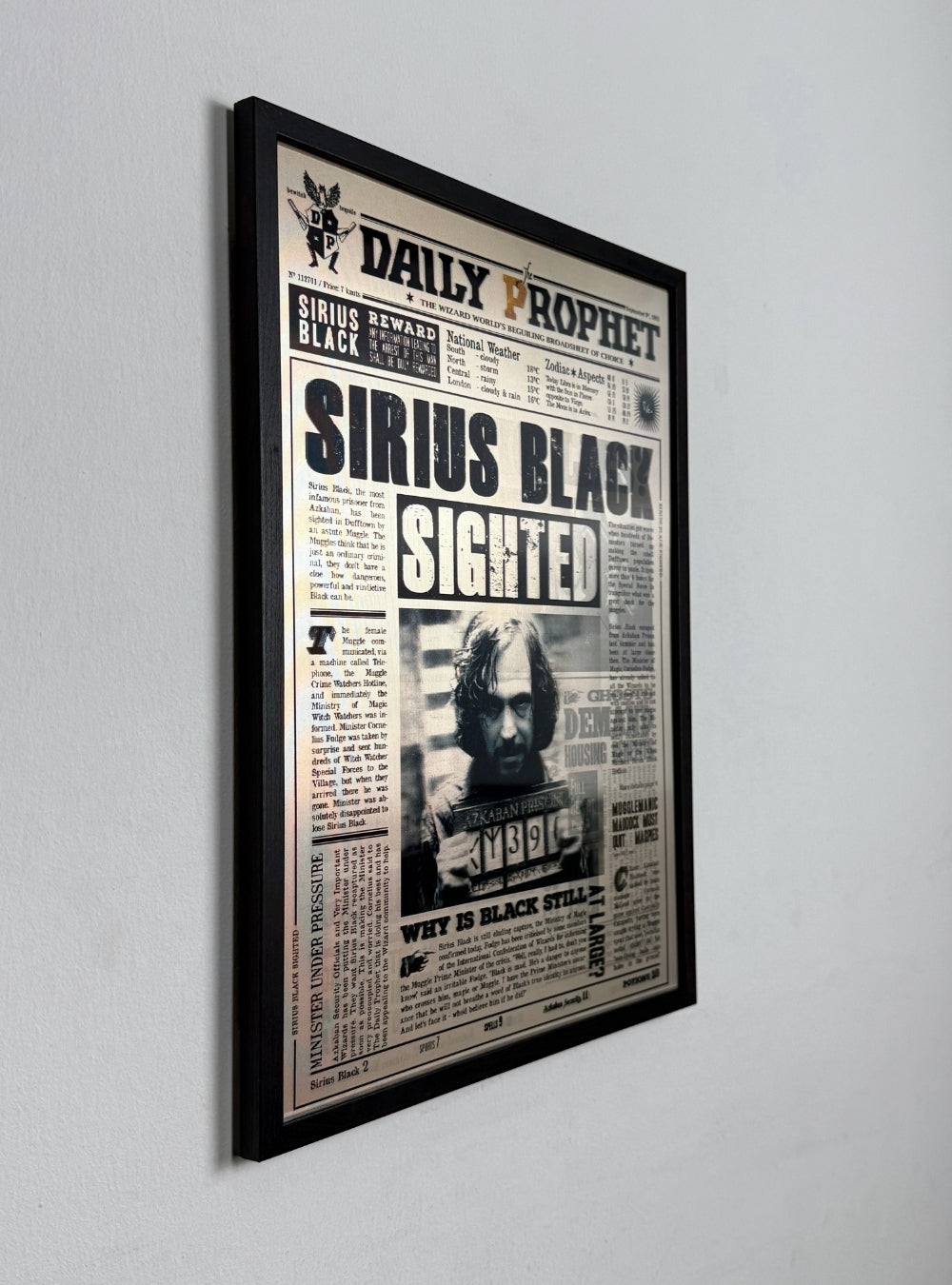 Harry Potter (Sirius Edition)