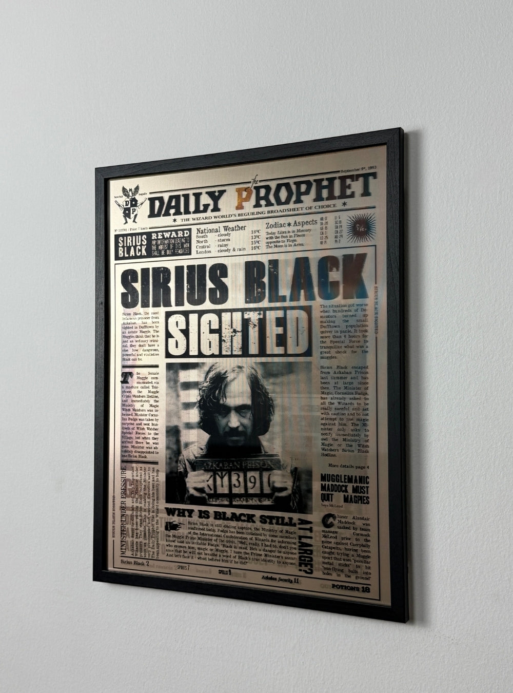 Harry Potter (Sirius Edition)