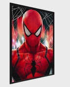 Spider Man (Multiverse Edition)