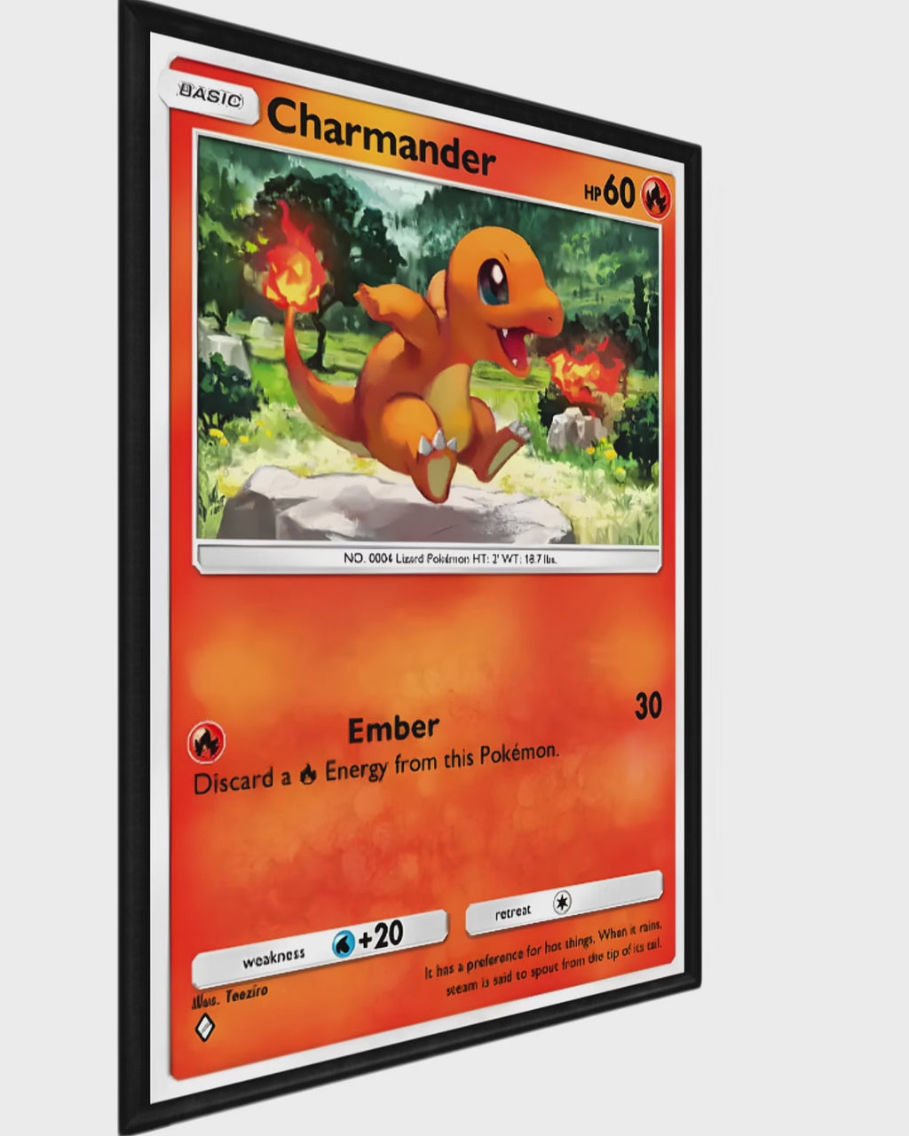 Pokémon (Charizard Edition)