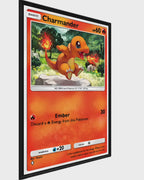 Pokémon (Charizard Edition)