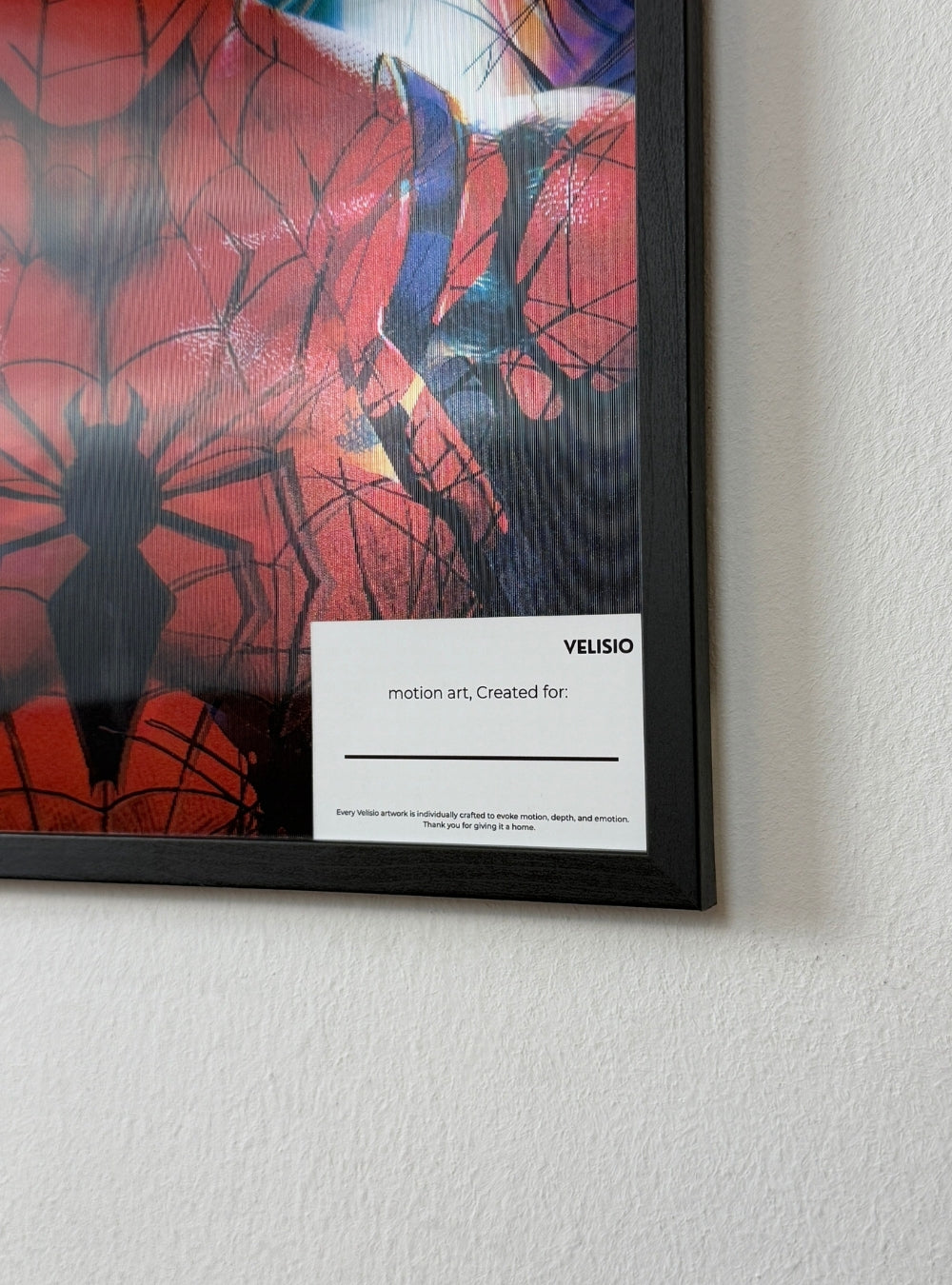 Spider Man (Multiverse Edition)