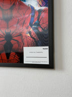 Spider Man (Multiverse Edition)